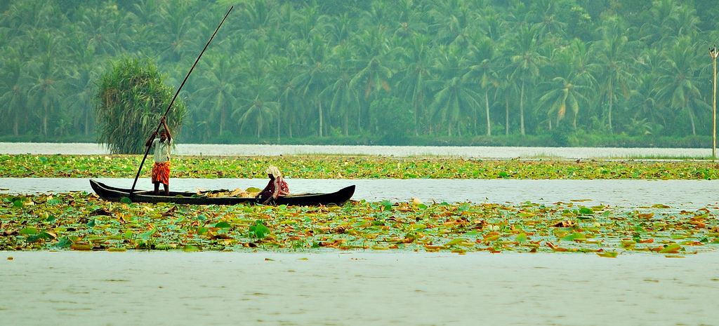 Cochin-Munnar-Thekkady–Alleppey-Kovalam Tour